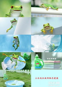 廣州番禺企業(yè)宣傳片與三維動(dòng)畫展示，為何騰視文化動(dòng)漫制作備受青睞？