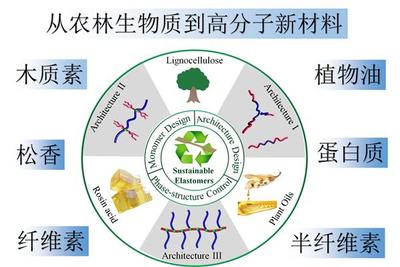 課題組第29篇論文在A(yíng)ccounts of Chemical Research 發(fā)表