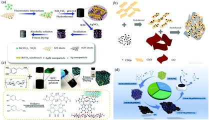 二維材料基氣凝膠的合成、功能調控及其在環(huán)境檢測和修復領域的應用-納孚生物