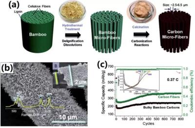 中科大俞漢青EES綜述:生物碳基材料在能量儲(chǔ)存與轉(zhuǎn)換中的應(yīng)用