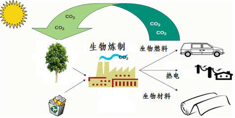 美麗化工-生物煉制--解決資源和環(huán)境問題的金鑰匙