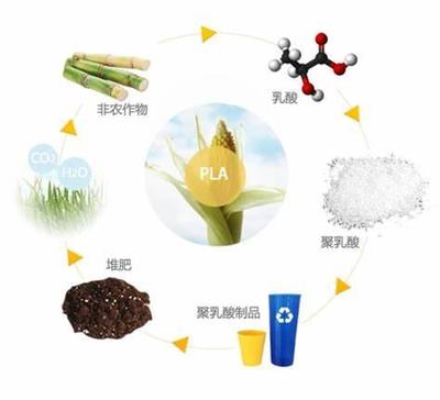 關(guān)于生物可降解塑料的誤解,你中了幾個(gè)?