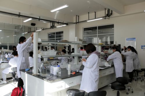 內(nèi)蒙古大學(xué)生物科學(xué)入選教育部基礎(chǔ)學(xué)科拔尖學(xué)生培養(yǎng)計(jì)劃2.0基地