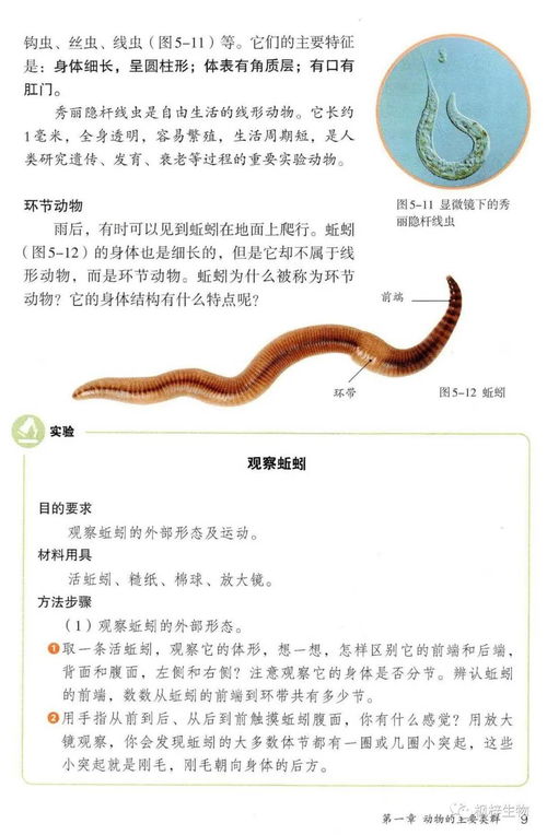 人教版八年級上冊生物電子課本教材 高清pdf版