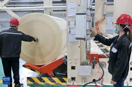 黑龍江大慶打造生物基新材料產業基地