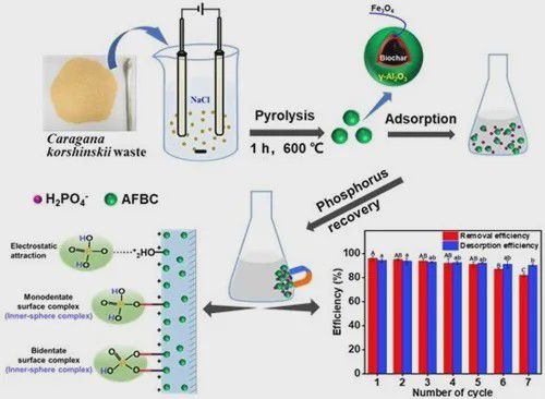 生態環境治理新型材料研發取得系列進展 生物基材料銷售迎突破