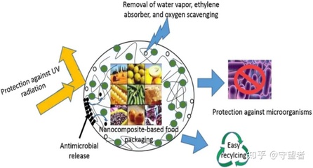 生物基活性食品包裝材料 技術研發與應用前景